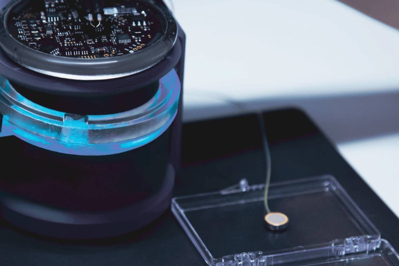 Malco Capital Invests in Paradromics to Advance Brain-Computer Interface Technology
